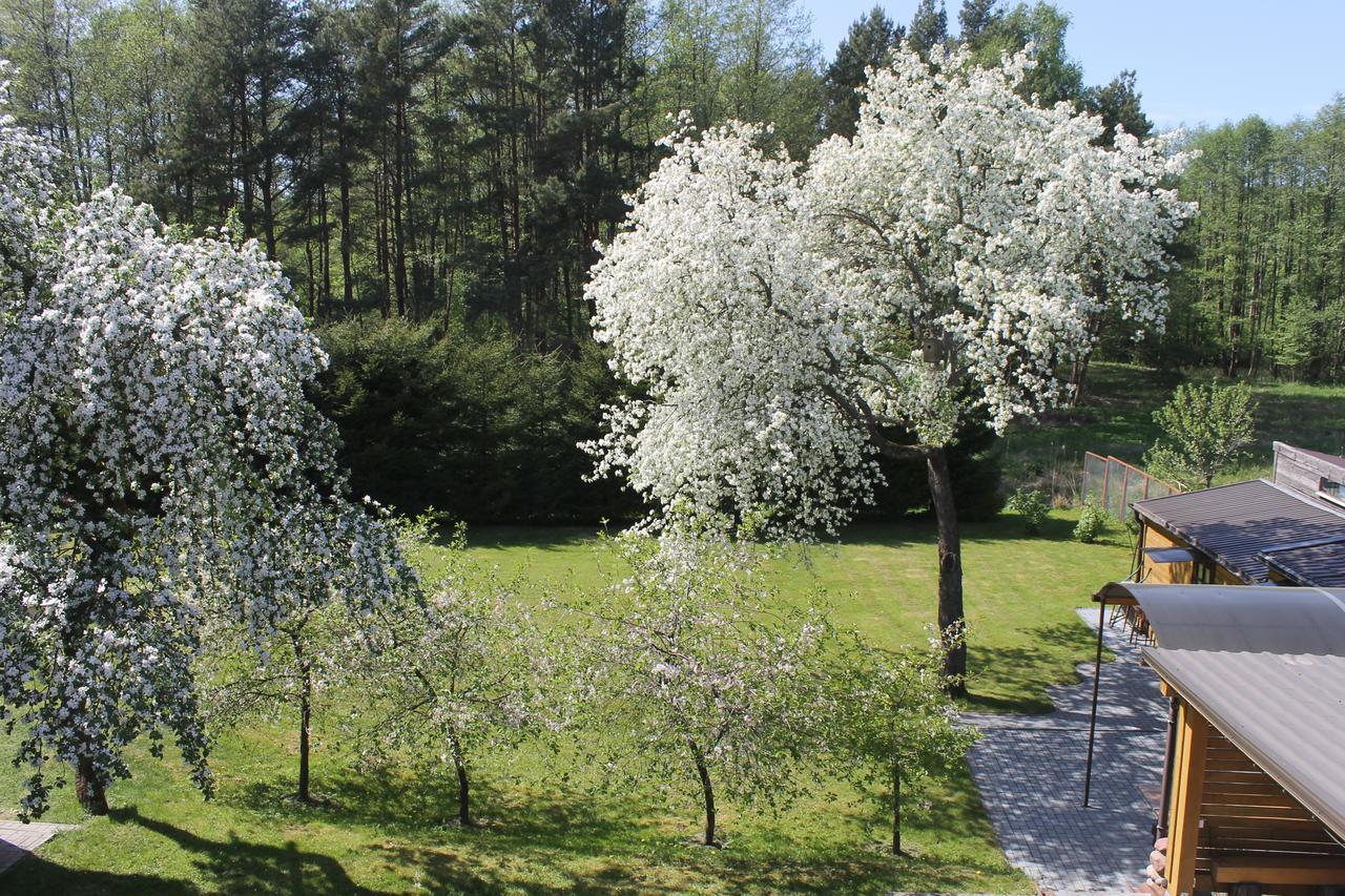 Hotel Paliepgiris Połąga Zewnętrze zdjęcie