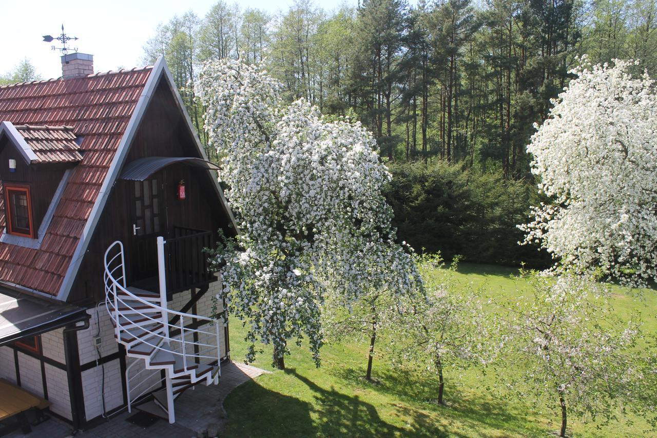 Hotel Paliepgiris Połąga Zewnętrze zdjęcie